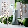 植物酵素の青汁ゼリー