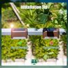 16-Pack Solar Deck Lights - Waterproof LED Step & Patio Lights, Warm White