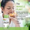 SOLARAY Aloe Vera Gel Concentrate | Equivalent to 2000 mg | Antioxidant Activity & Healthy Digestion & Skin Support | Non-GMO & Vegan | 100 VegCaps