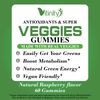 (60 Chews) VITINITY Super Veggies Gummies| Made with Real Veggie Gummies