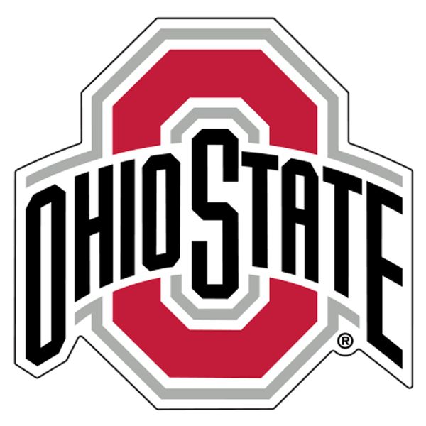 Craftique Ohio St Buckeyes XL Premium Vinyl Decal, Cornhole,