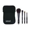 Usui Set of 4 (with Case), Blush, Shadow, Medium, Shadow Small, Eyeliner Large Brush