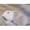 Rechargeable Hand Warmer  Power Bank  Polar Bear 