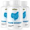 Pure Digest- Digestive Support- 3 Bottles- 180 Capsules
