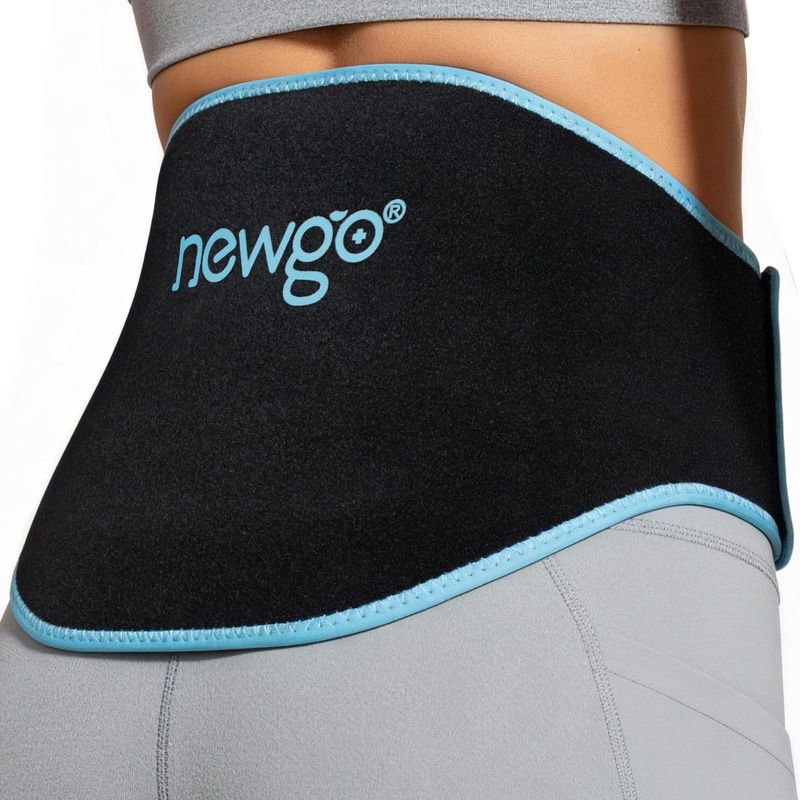 NEWGO Ice Pack for Back Pain Relief, 2 Pack Lower Back Ice Pack Gel ...