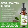 Soursop Multivitamin Liquid Drops 60ml | Organic Leaf Extract & Bitters Oil