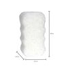Spongeables Summer Ready Pre-tan Exfoliator, The Soap is in The Sponge, Coconut Colada, 2 Count, White