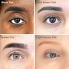 Mylee Express Lash & Brow Kit – 2 in 1 No Mix Formula, Tint + Developer Gel + Double Sided Brush, Professional Eyelash & Eyebrow Dye Tinting, Long Lasting, Semi-Permanent, Fast & Easy (Black)