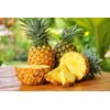 Loyd the Magic Experience Flavoured Fruit Tea Pineapple & Pear 20 teabags
