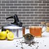 Pendeford WK10P Whistling Kettle Polished, 1 L, Silver