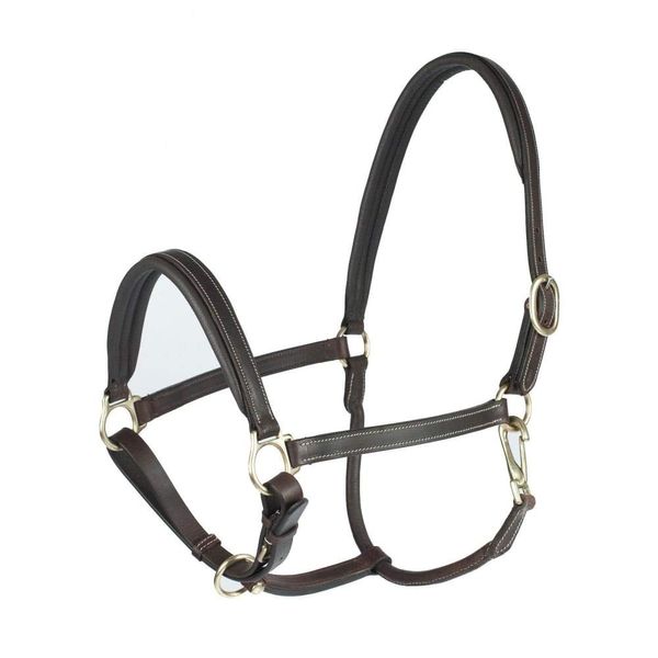 HORZE Largo Genuine Leather Horse Halter | Adjustable Padded Noseband and Crown - Dark Brown - Warmblood