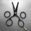 BRV MEN German Steel Rounded-Tip Scissors, 4.2" - Titanium Plated, Hammer Forged 100% Stainless Steel - Beard, Mustache, Nose Hair, Ear Hair Trimming - Professional Grooming Scissors - (Black)