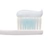 Dent Health Medicated Toothpaste, Prevents Pyorrhea, Bad Breath Blocking, Toothpaste, 3.0 oz (85 g)