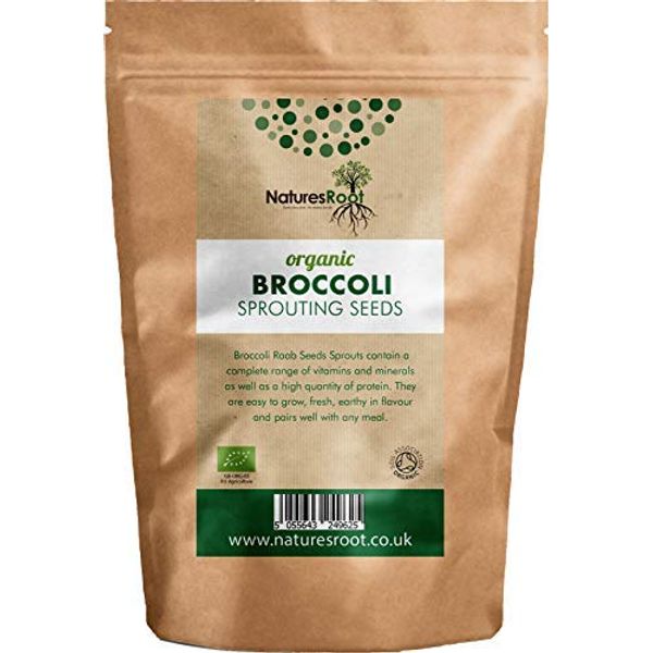 Natures Root Organic Broccoli Sprouting Seeds 500g - Superfood | Non GMO | Microgreen Sprouts