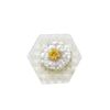 Crystal Shine Ear Acupoint Diet