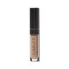 Eliminate Concealer