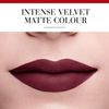 Bourjois Velvet Ink Lip Tono 11