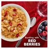 Special K Red Berries Cereal, 38 oz.