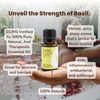 Rocky Mountain Oils - Basil Essential Oil 15ml - Essential Oil Kit Includes, Citrus Purify, & First Aid, for Diffuser