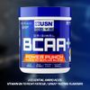 USN BCAA Power Punch Amino Acid Plus Blend, Blue Raspberry, 400 g