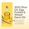 Moisturizing Conditioner for Over Processed Hair with Essential Oils 16 Ounce