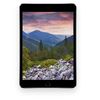 Apple iPad Mini 4 16gb Space Gray (Renewed)