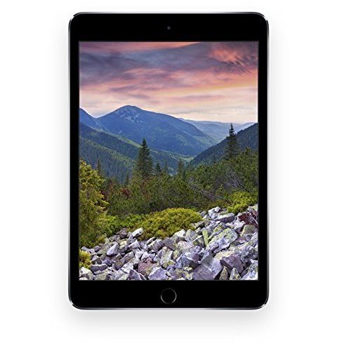 Apple iPad Mini 4 16gb Space Gray (Renewed)