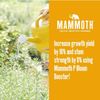 Mammoth P Bloom Booster | Organic Microbial Inoculant | 16% Increase Yields 15mL