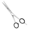 Professional Stainless Steel Hairdressing Scissors