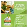 Ticks,Mosquito,Fleas,Flea eggs Killer Ready-to-Use Insect Killer Dust 32oz USA