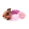 Pink Lovers Terrarium/Houseplant Decoration Kit