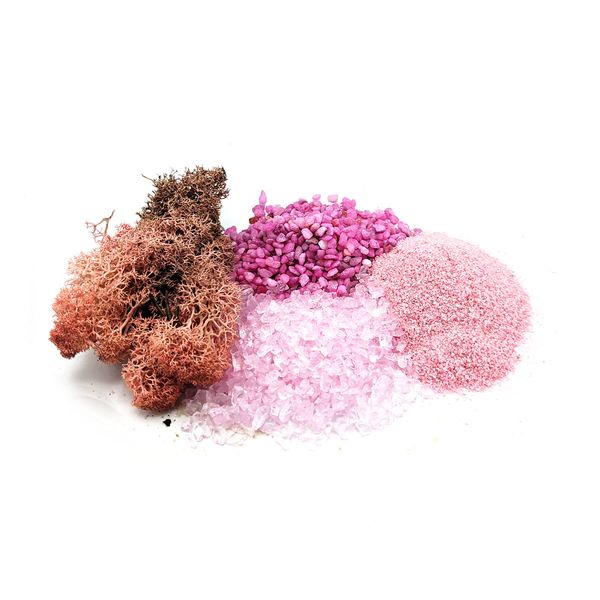 Pink Lovers Terrarium/Houseplant Decoration Kit