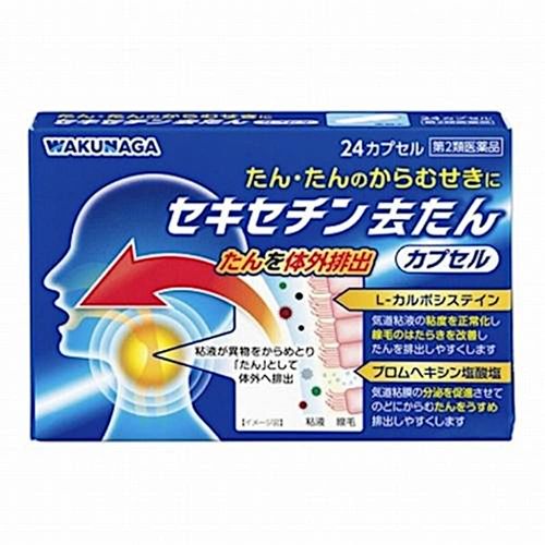 【第2類医薬品】セキセチン去たんカプセル 24カプセル