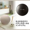 Elecom HCF-BBC65BE Balance Ball Cover, 25.6 inches (65 cm), Convenient Carrying Handle, Beige