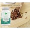 Quinine Cinchona Bark Extract Herbal Supplement for Boosting Immune System, Leg