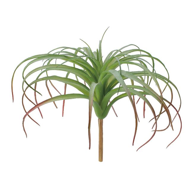 Tokyodo FG001622-zzz Artificial Flowers MAGIQ Tillandsia Jeweller, Green, L11.8 x W15.4 inches (30 x 39 cm), 1 Piece