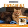 Alfavet Dia Tab, Pack of 1