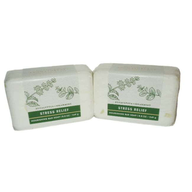 Bath and Body Works Eucalyptus Spearmint Soap x2