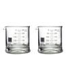 Periodic Tableware Beaker Rocks Glasses (Set of 2)