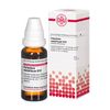 Palladium metallicum D12 DHU Dilution, 20 ml Lösung