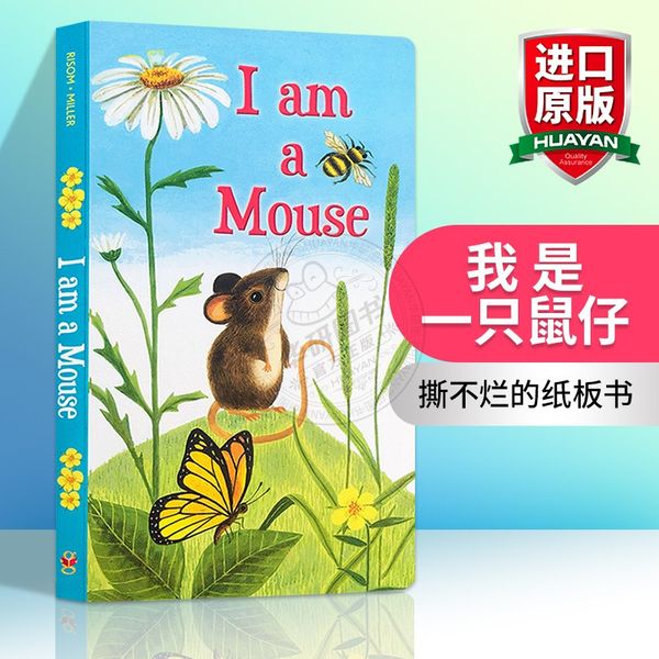 英文原版绘本 I Am a Mouse 我是一只鼠仔 英文版儿童英语启蒙早教 I Am a Bunny同系列可搭brown bear正版进口亲子阅读图画纸板书