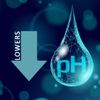 Puri Tech Spa pH Down Lowers pH and Total Alkalinity Increasing Sanitizer