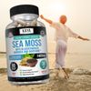 Irish Sea Moss, Bladderwrack & Burdock, Thyroid & Immune Support, Natural Energy