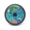 Invisalign Aligner and Retainer Case, Van Gogh's Iris