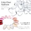 Nail Tool Color Chart Nail Form Gel Nail Cabochon Nail Chart