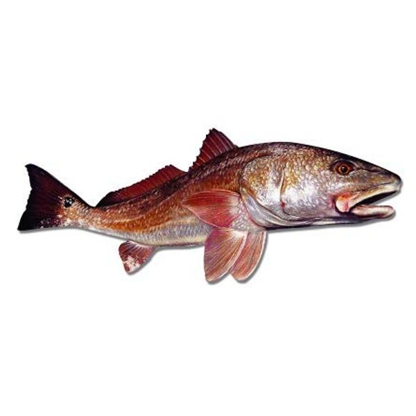 GT Graphics Redfish - 12" Vinyl Sticker Waterproof Decal