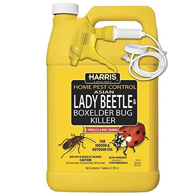 HARRIS Asian Lady Beetle, Japanese Beetle, and Box Elder Killer, Liquid Spray with Odorless and Non-Staining Extended Residual Kill Formula (Gallon)