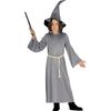 FIESTAS GUIRCA Child Gray Wizard Costume