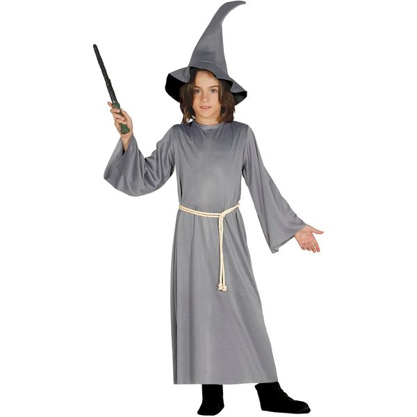 FIESTAS GUIRCA Child Gray Wizard Costume