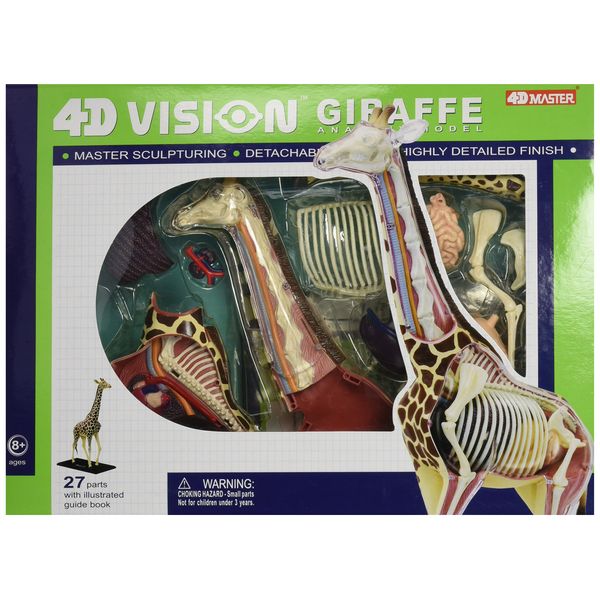 Famemaster 4D Vision Giraffe Anatomy Model, 14.5 inches
